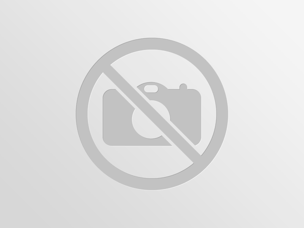 Blog 6